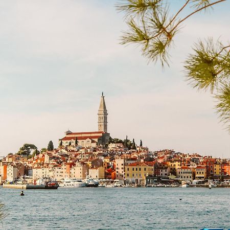 Summer Dream, Center Of Rovinj Exterior foto